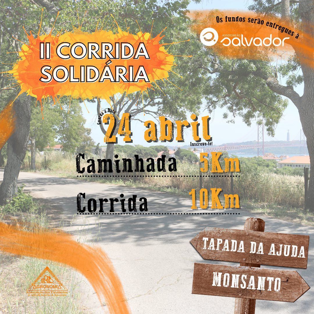 II Corrida Solid